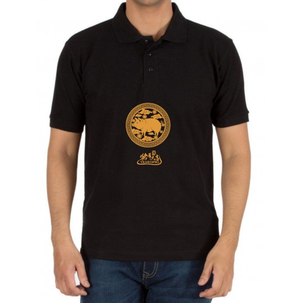 Polo_5