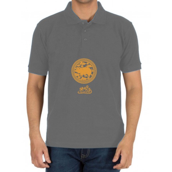 Polo_5